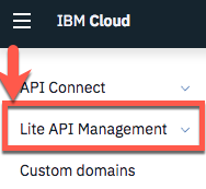 lite-api-management