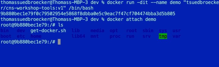 Docker container in detached and attached mode – Thomas Suedbroecker's Blog