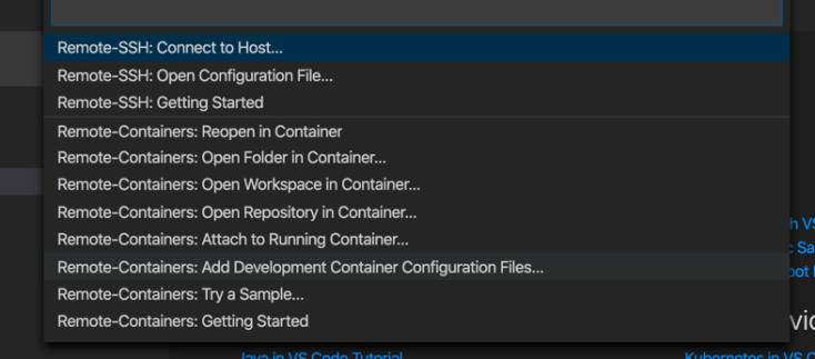 vsc-remote-java-dev-00.1